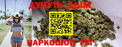 гашик Дмитров