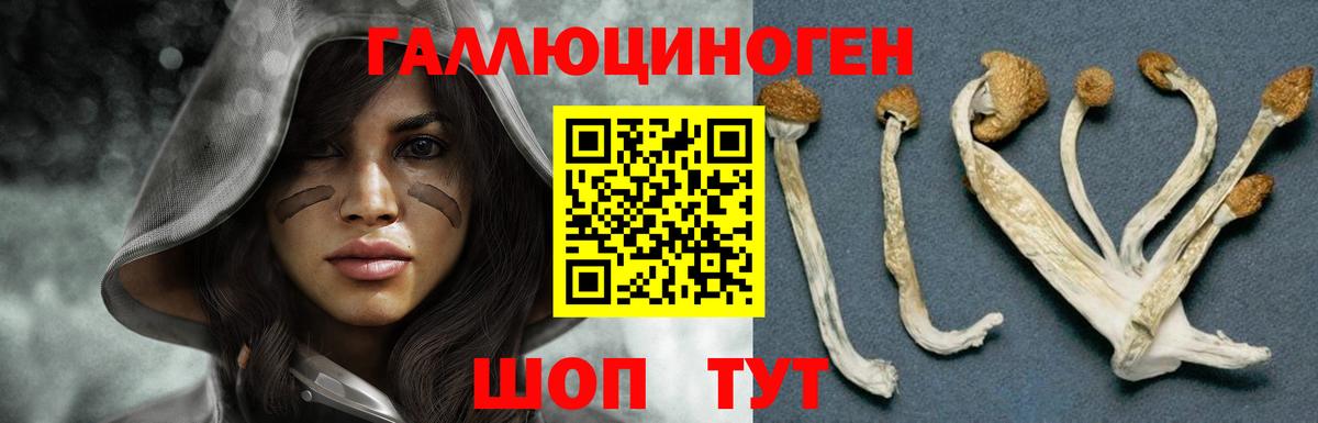 Галлюциногенные грибы мицелий  Вход с VPN  Киреевск 