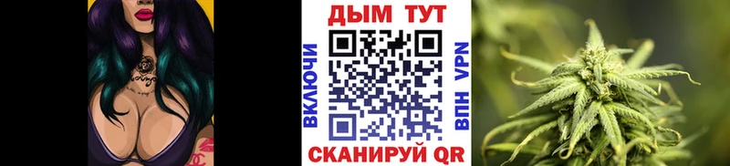 где найти   Киреевск  Марихуана гибрид 